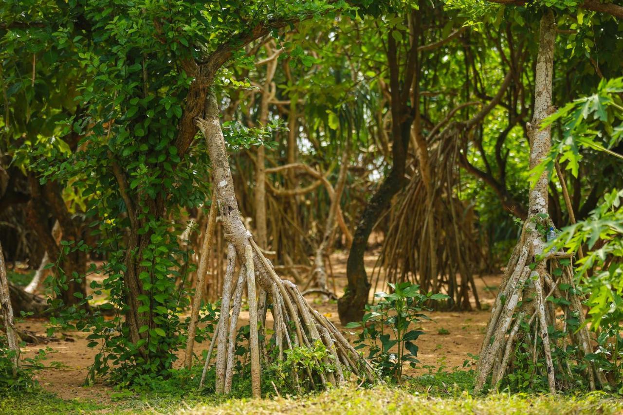 Rathgama Beach House Bagian luar foto